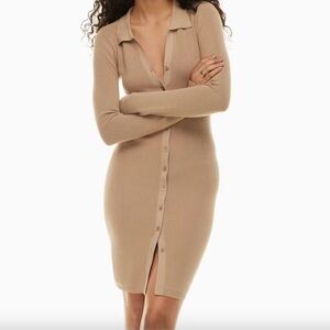 Aritzia Wilfred Longsleeve Button Up Polo Dress
